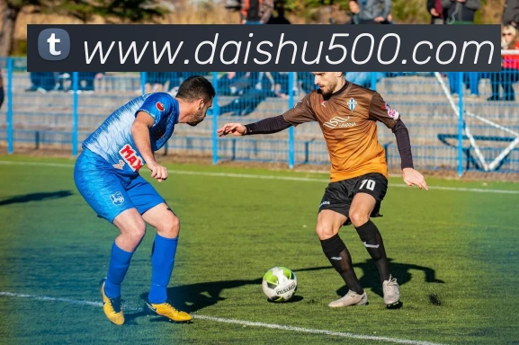 500彩票服务体系